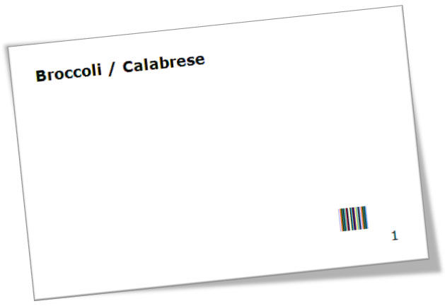 Sample card with bar codes to simplify data capture (the bar code provides the item number in machine-readable form)