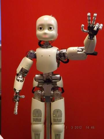 The iCub (2013) humanoid open course platform, developed as part of the Robotcub project (2013).